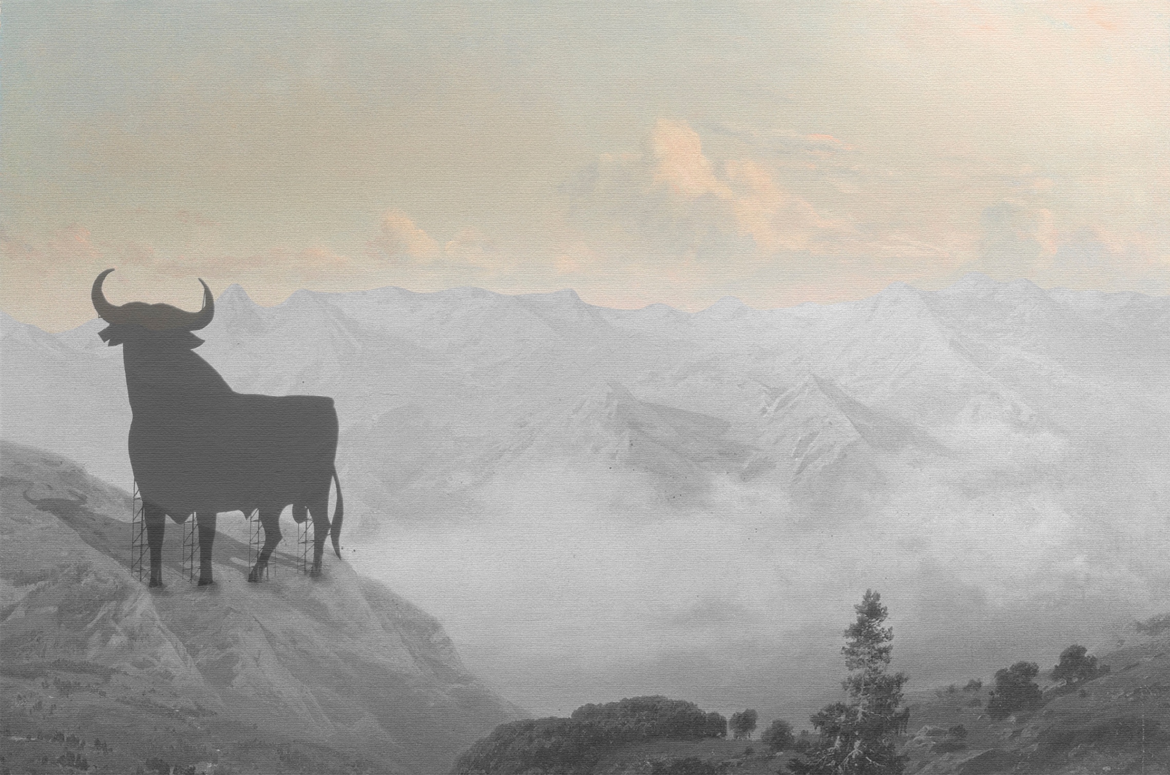 black box — bull